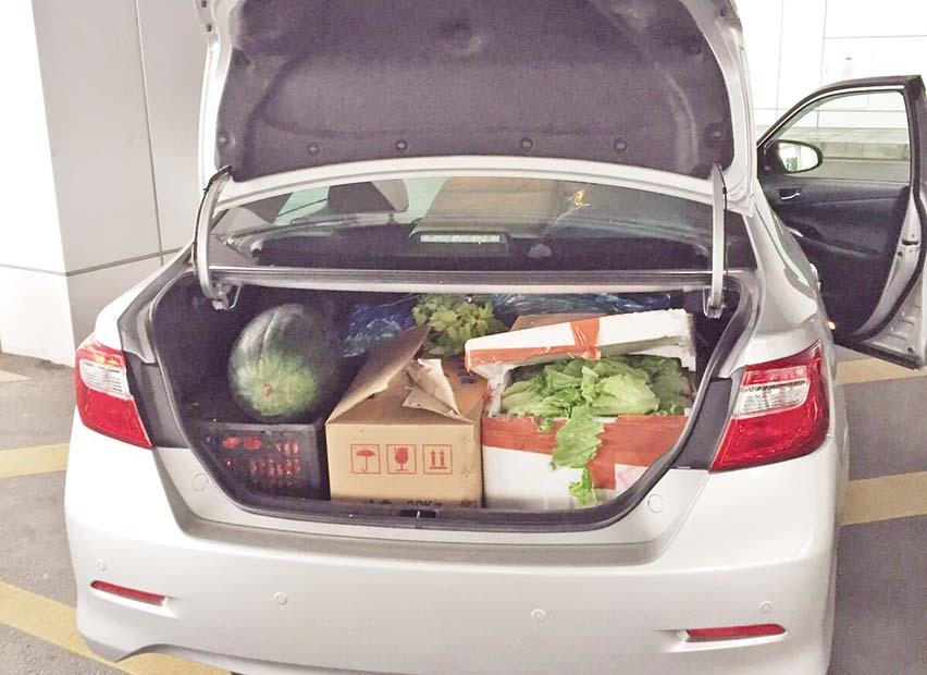 海關突擊檢查關閘車道