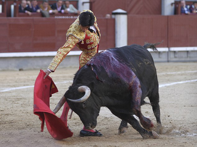 西班牙鬥牛士表演時遭插胸喪命