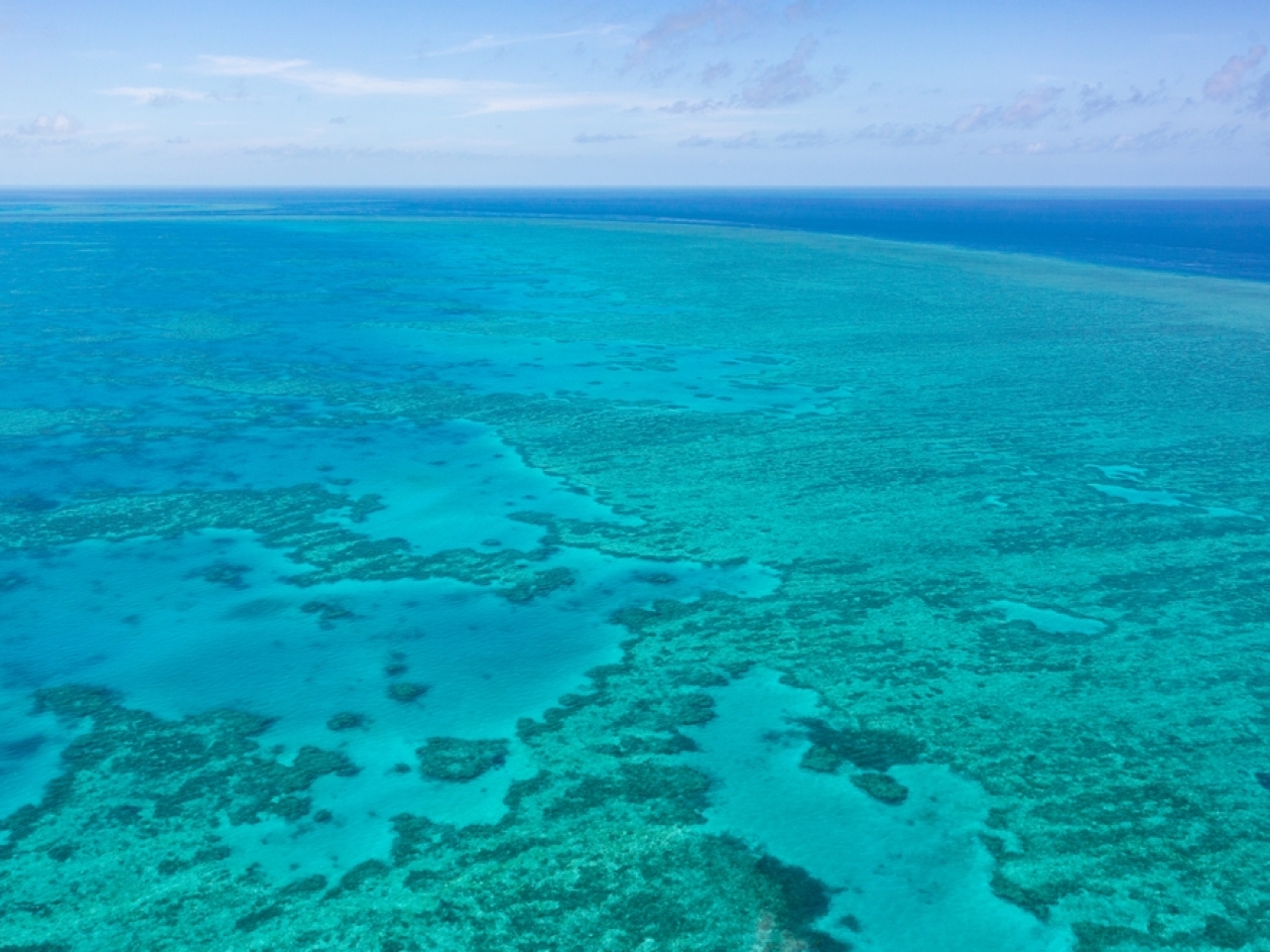 高溫破壞大堡礁北部67%珊瑚死亡
