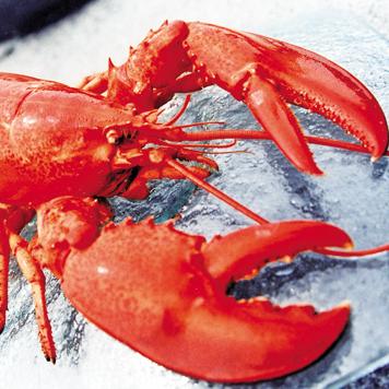 國際美食節明天開