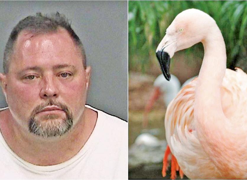 美漢攻擊紅鶴致死