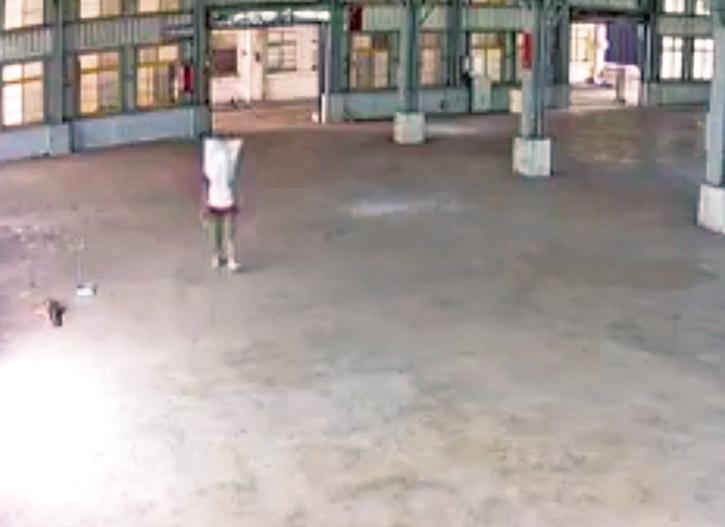 遭「海綿寶寶」偷電線