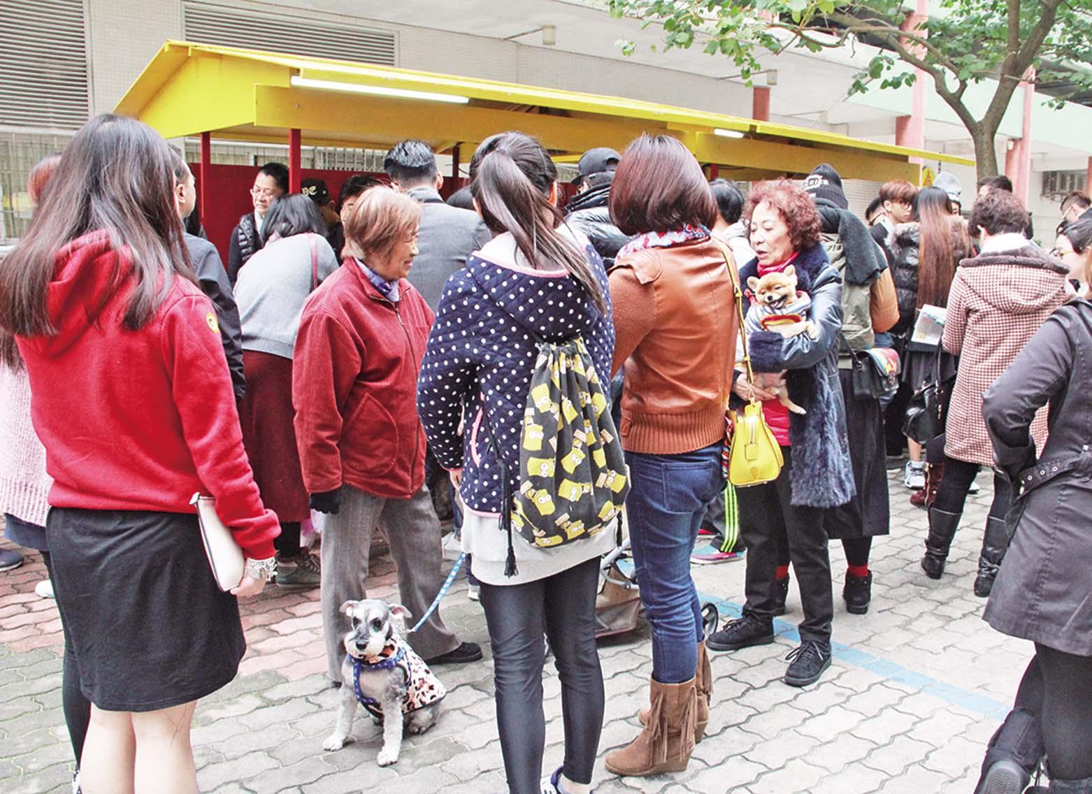 「領養日」市民反應熱烈