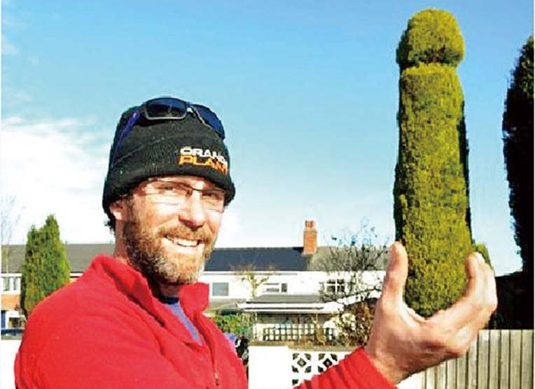 打造5.5米「陽具」樹