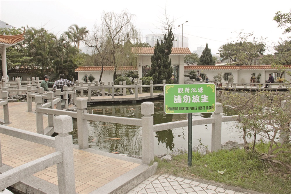 網傳花城公園 有福鱷！