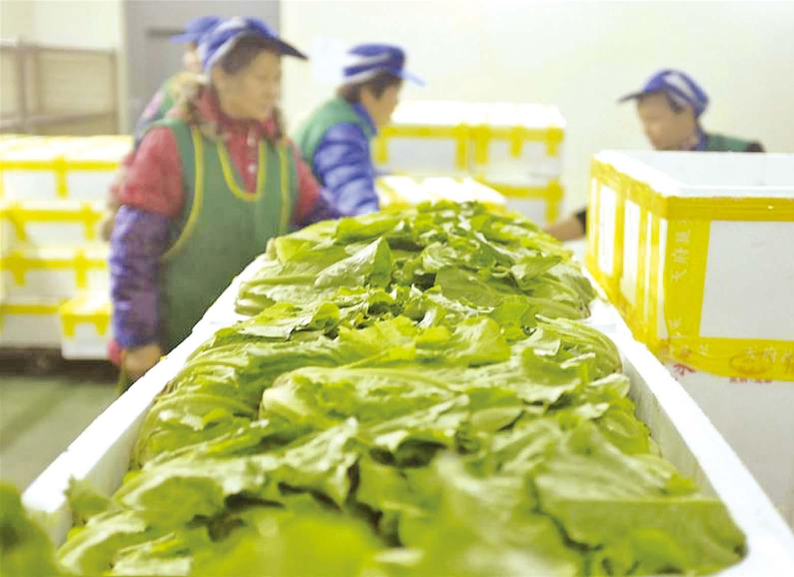 穩定食品供應紓緩通脹