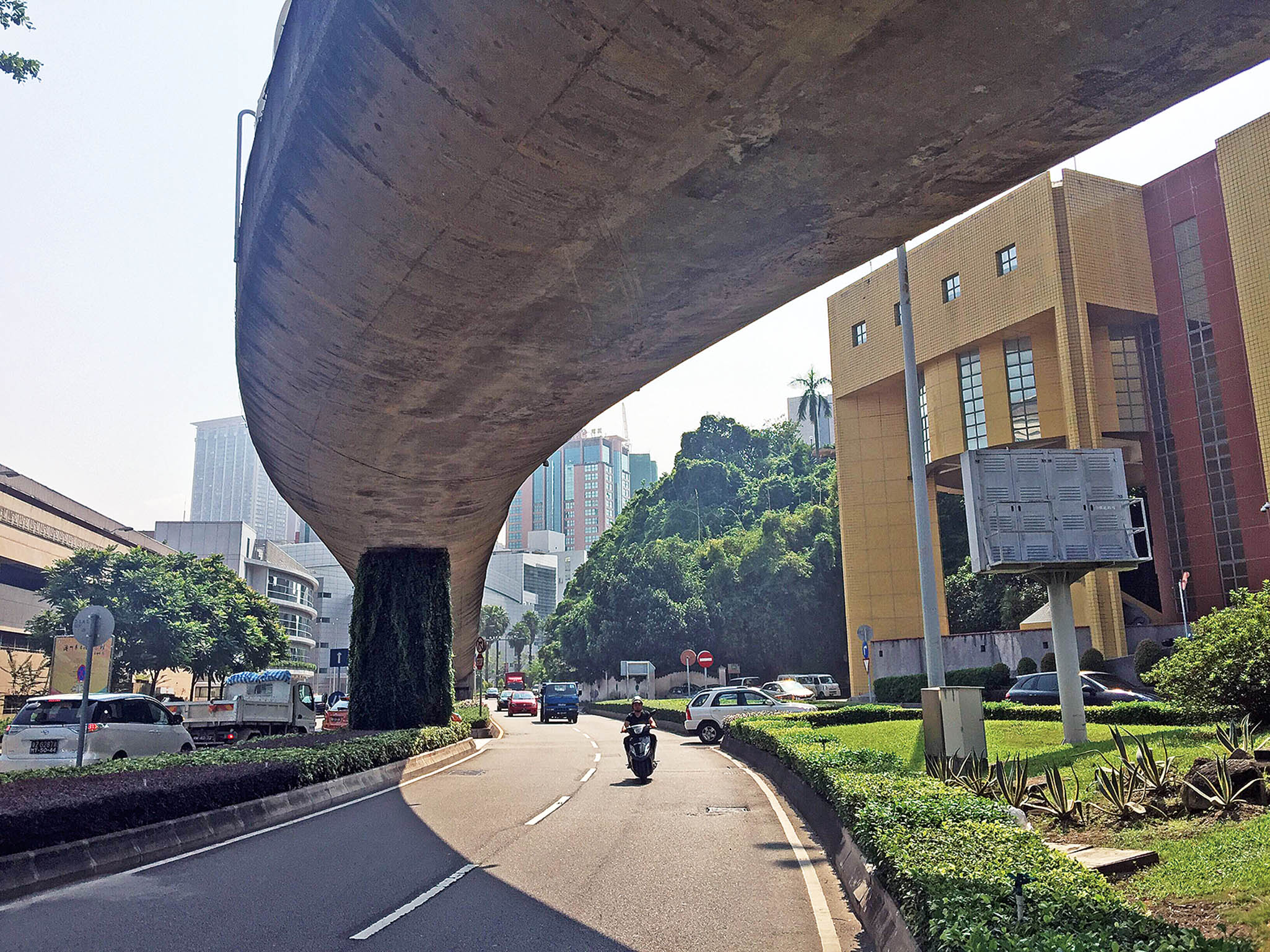 送往醫院治療原因待查