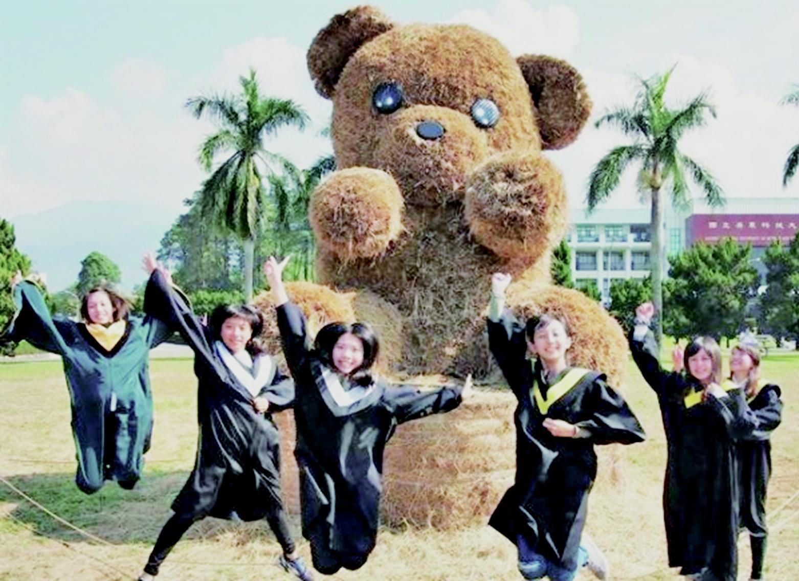 屏科大牧草泰迪熊