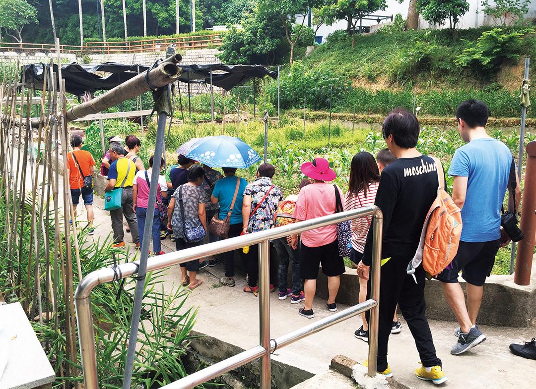 大廈居民親子樂遊路環農場