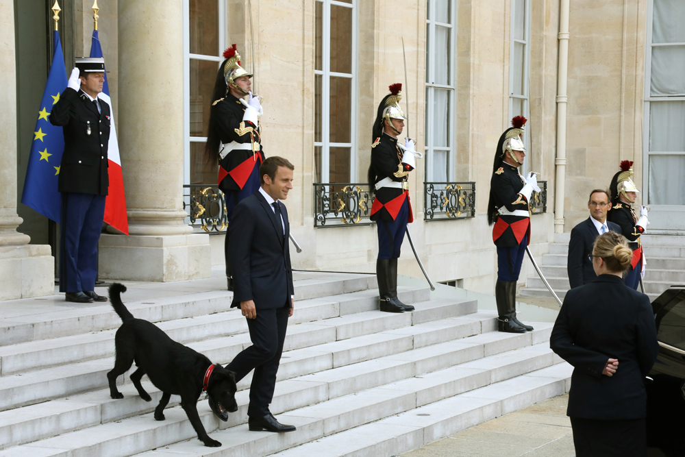 「法國第一狗」初亮相　
