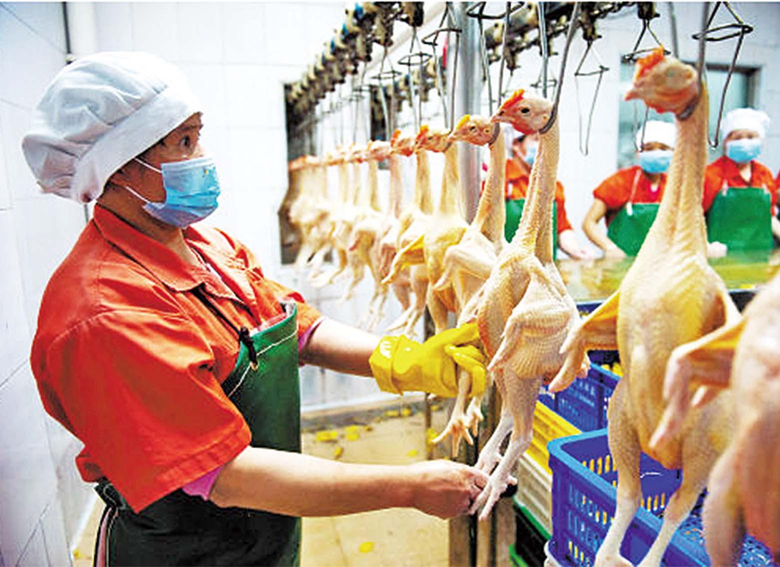 民署：市民安全是首要考量