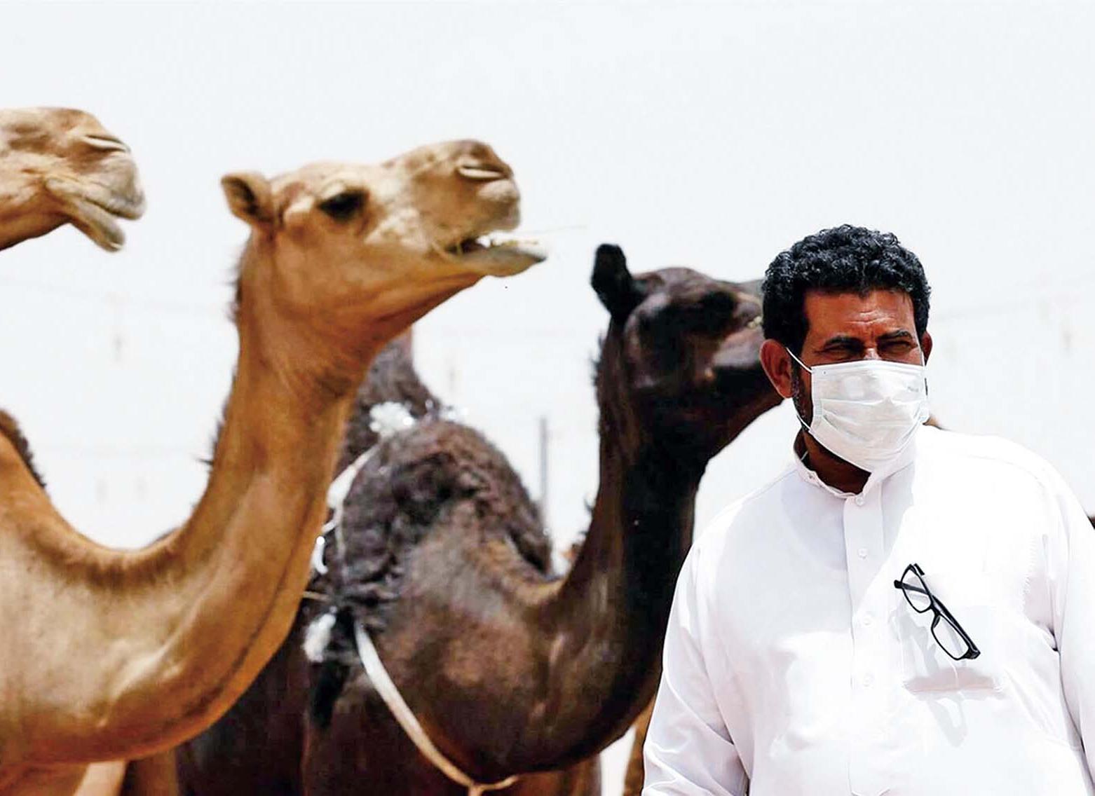 回澳後發燒一度被疑染新沙士