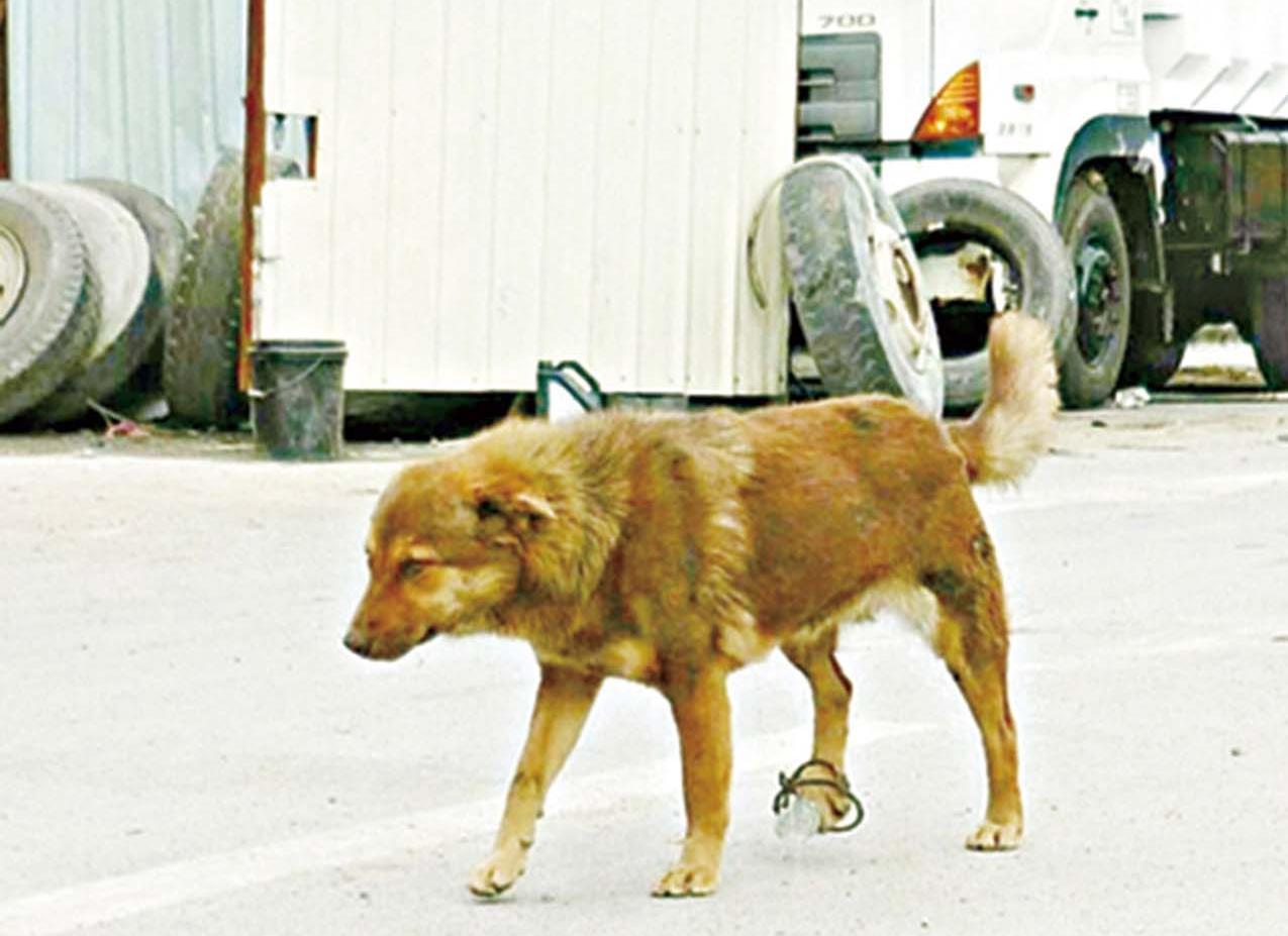 誤傷途人或會惹上官非