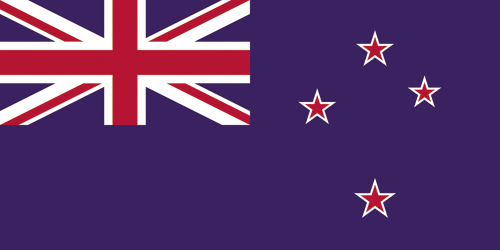 紐西蘭銀蕨新國旗勝