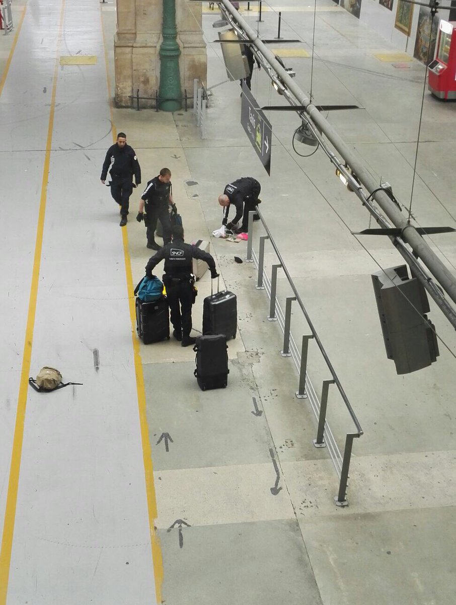 持刀男闖巴黎火車站被捕
