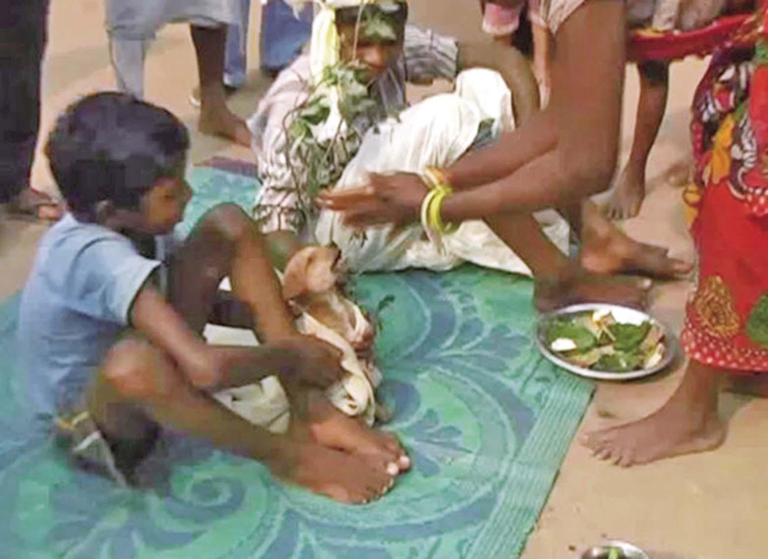 印度童娶小狗消災