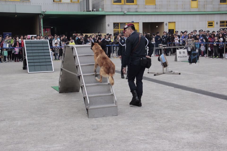 警察開放日表揚23名好市民