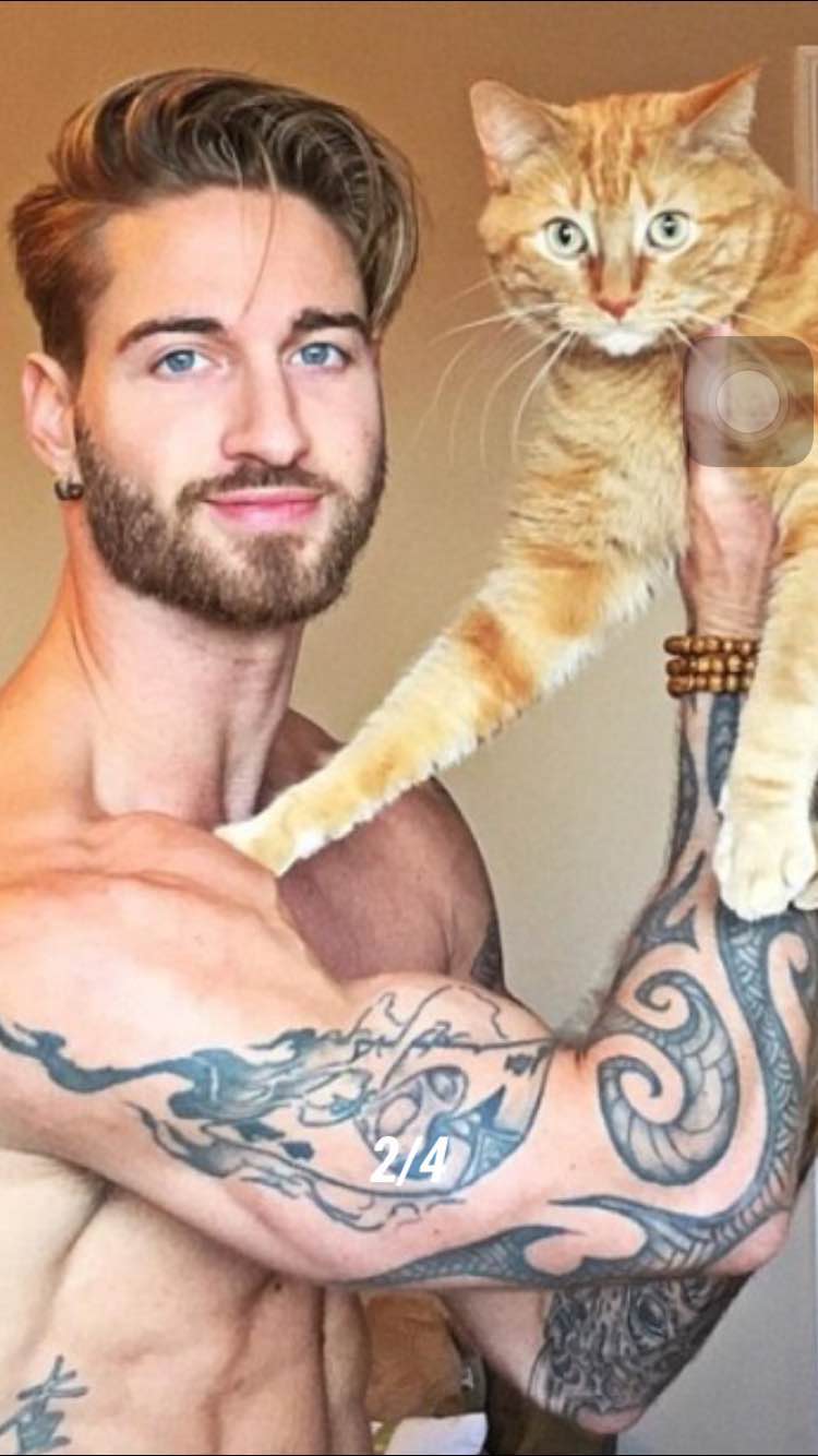 加拿大男模舉貓啞鈴秀肌肉