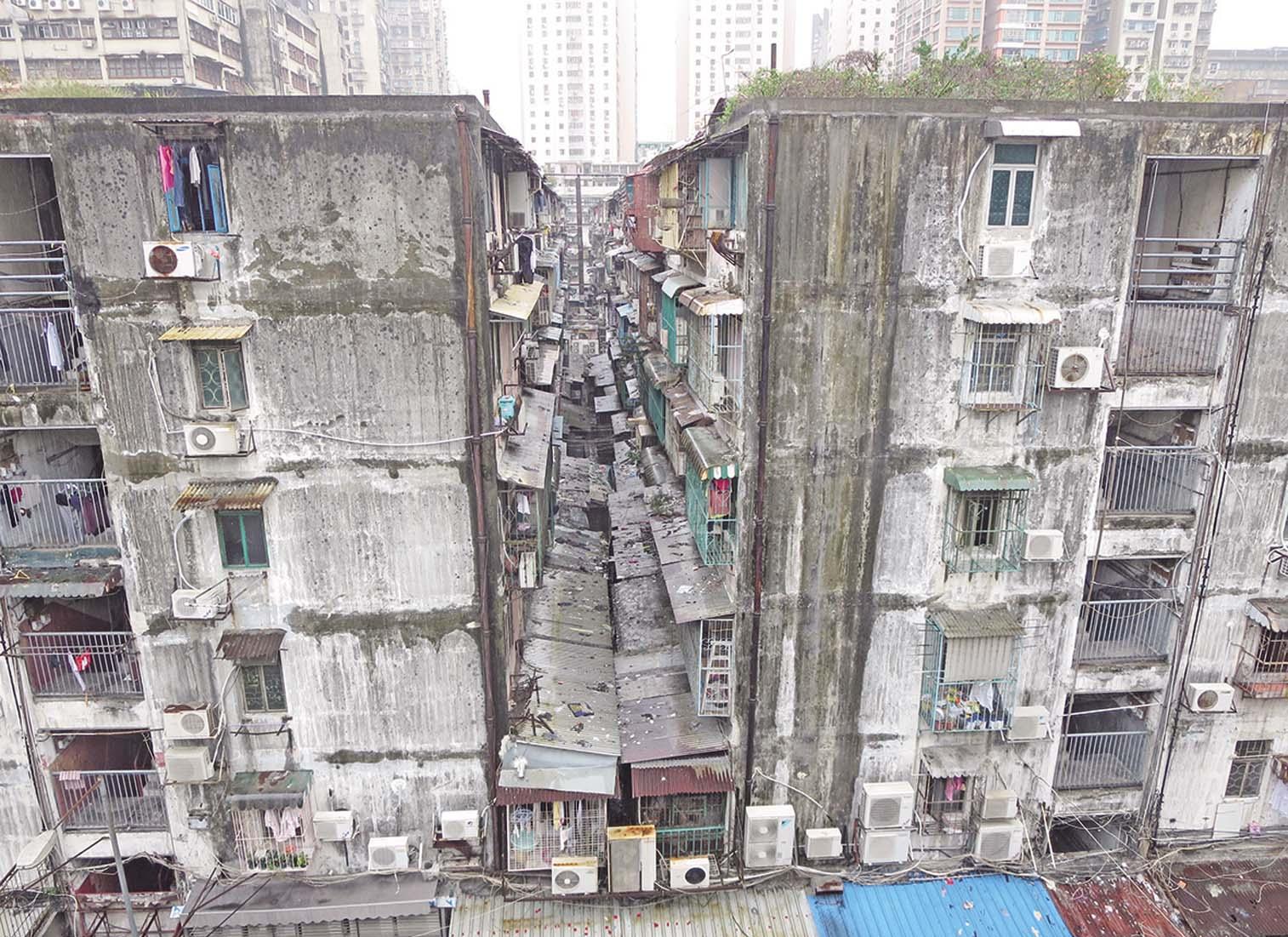 委員會最遲下月成立