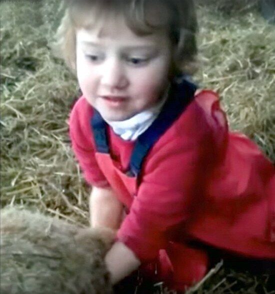 英三歲女幫母羊接生紅爆網