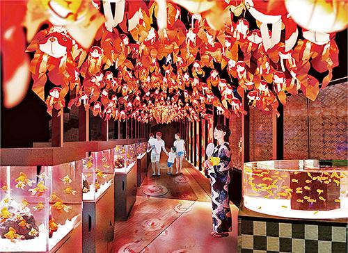 暑假帶你睇金魚