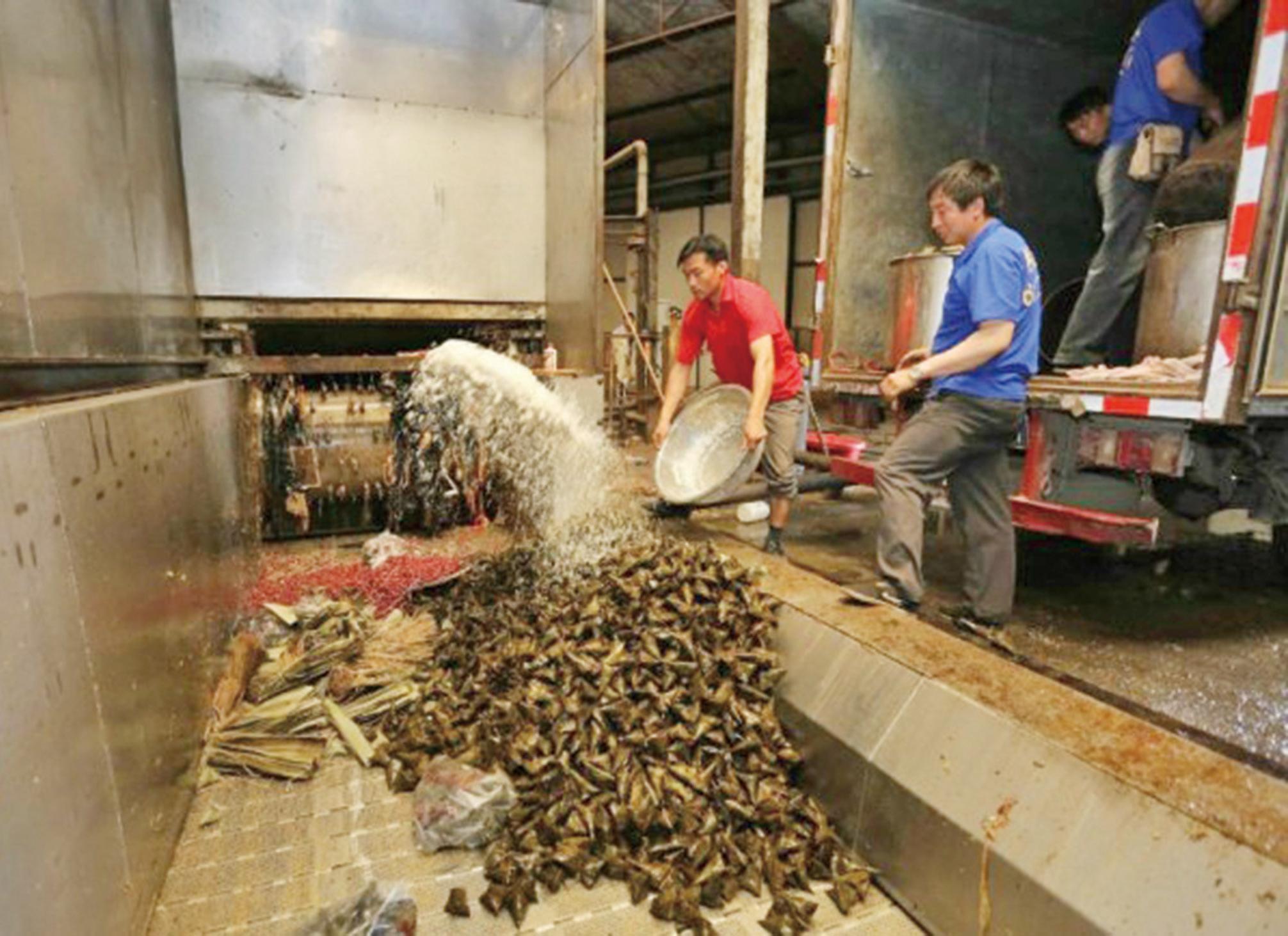 生產窩點蒼蠅亂飛