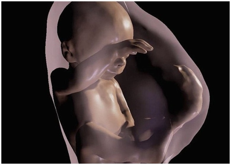 未來父母或可透過VR觀察胎兒