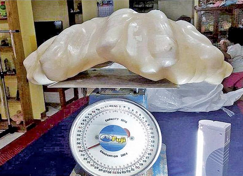 億元珍珠擺床下十年