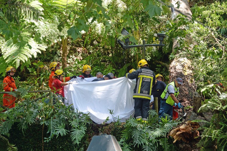 總統總理向死者致哀