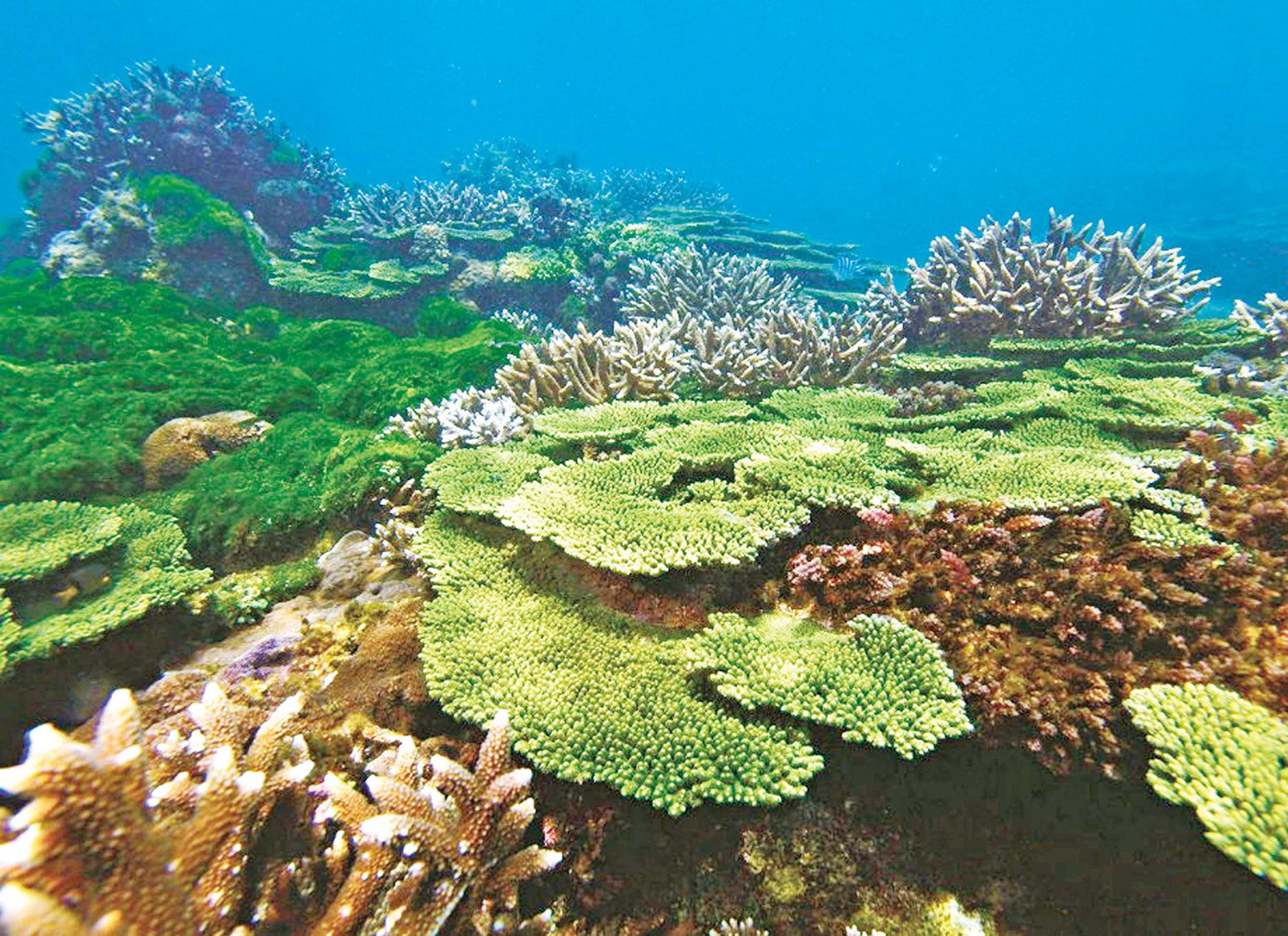 科學家：當代最大隱憂