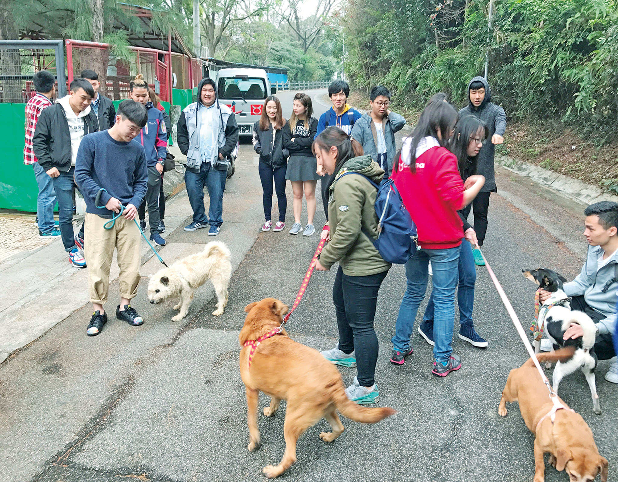 訪愛護動物協會探貓狗