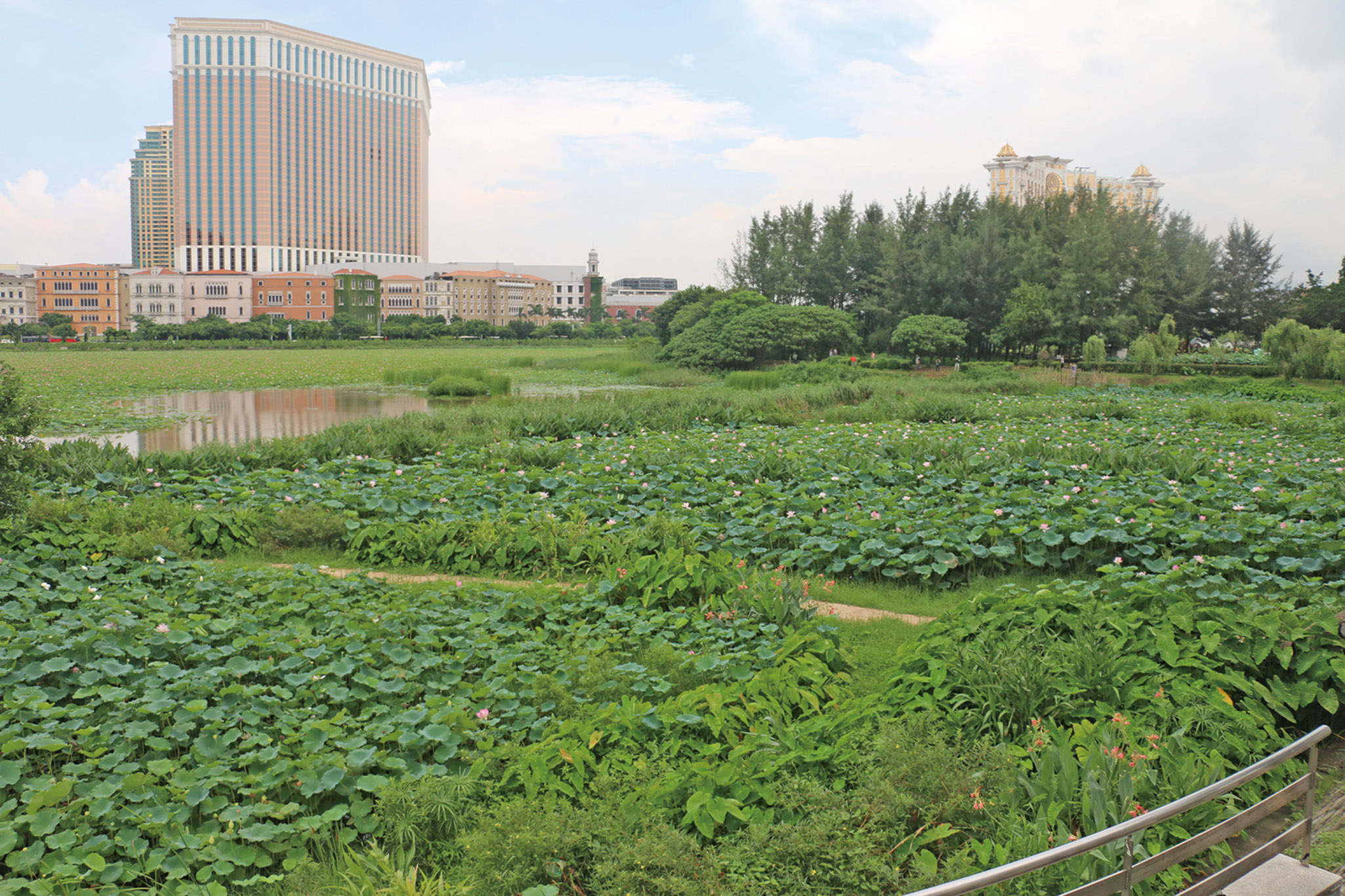 廉署捅破驚天 「土地煉金案」