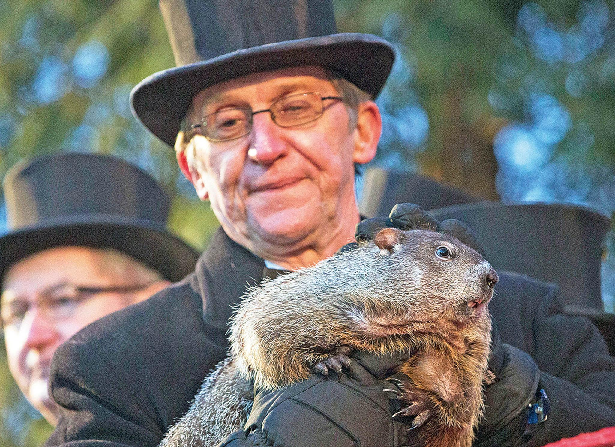 報春天提早降臨