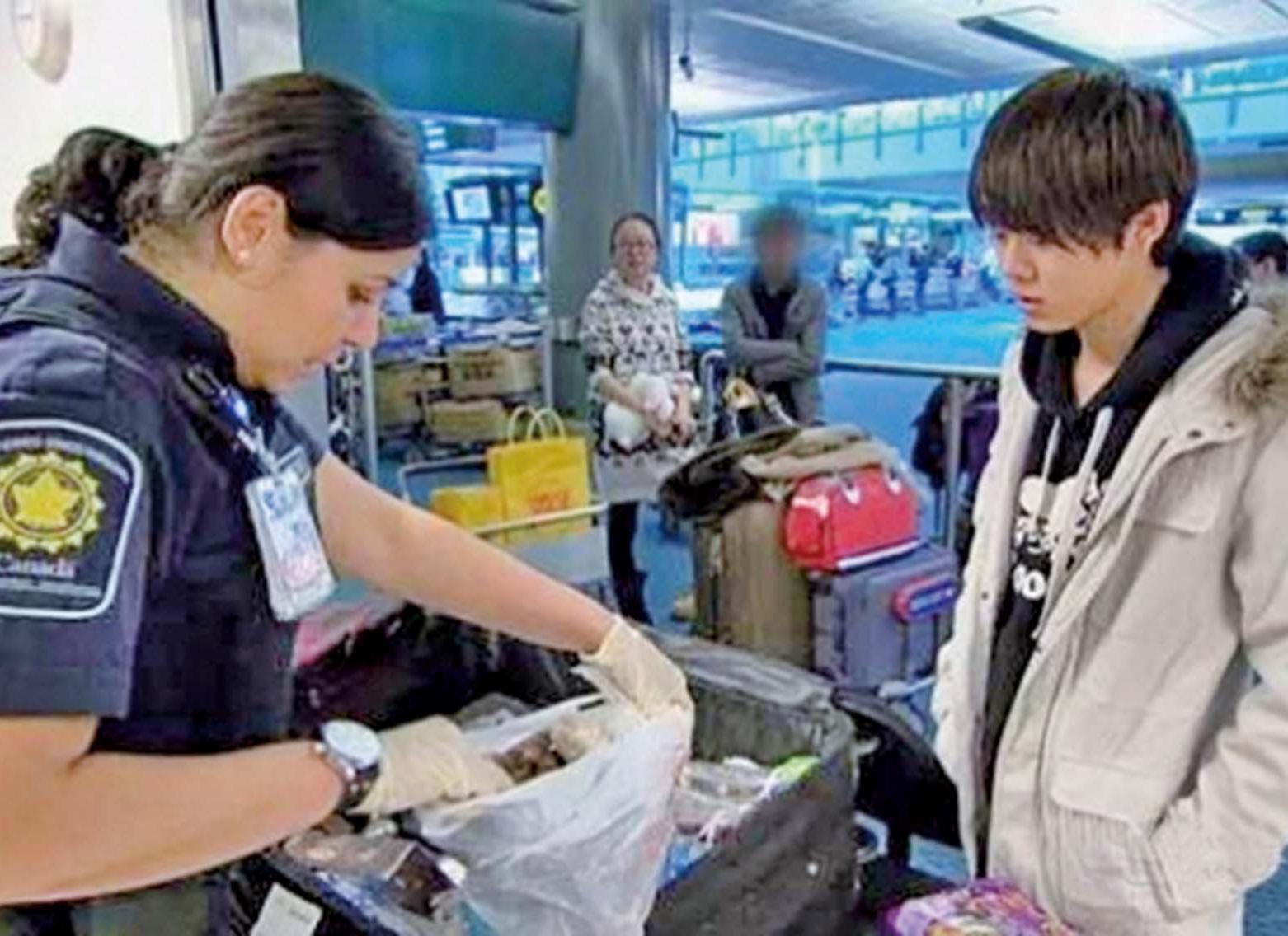 留學生被加拿大遣返