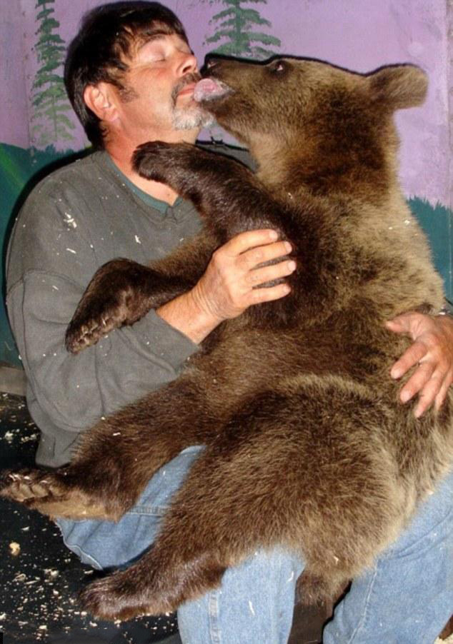 小熊孤兒養到變巨熊