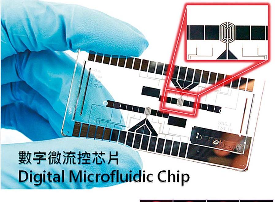 將DNA檢測時間縮至七秒