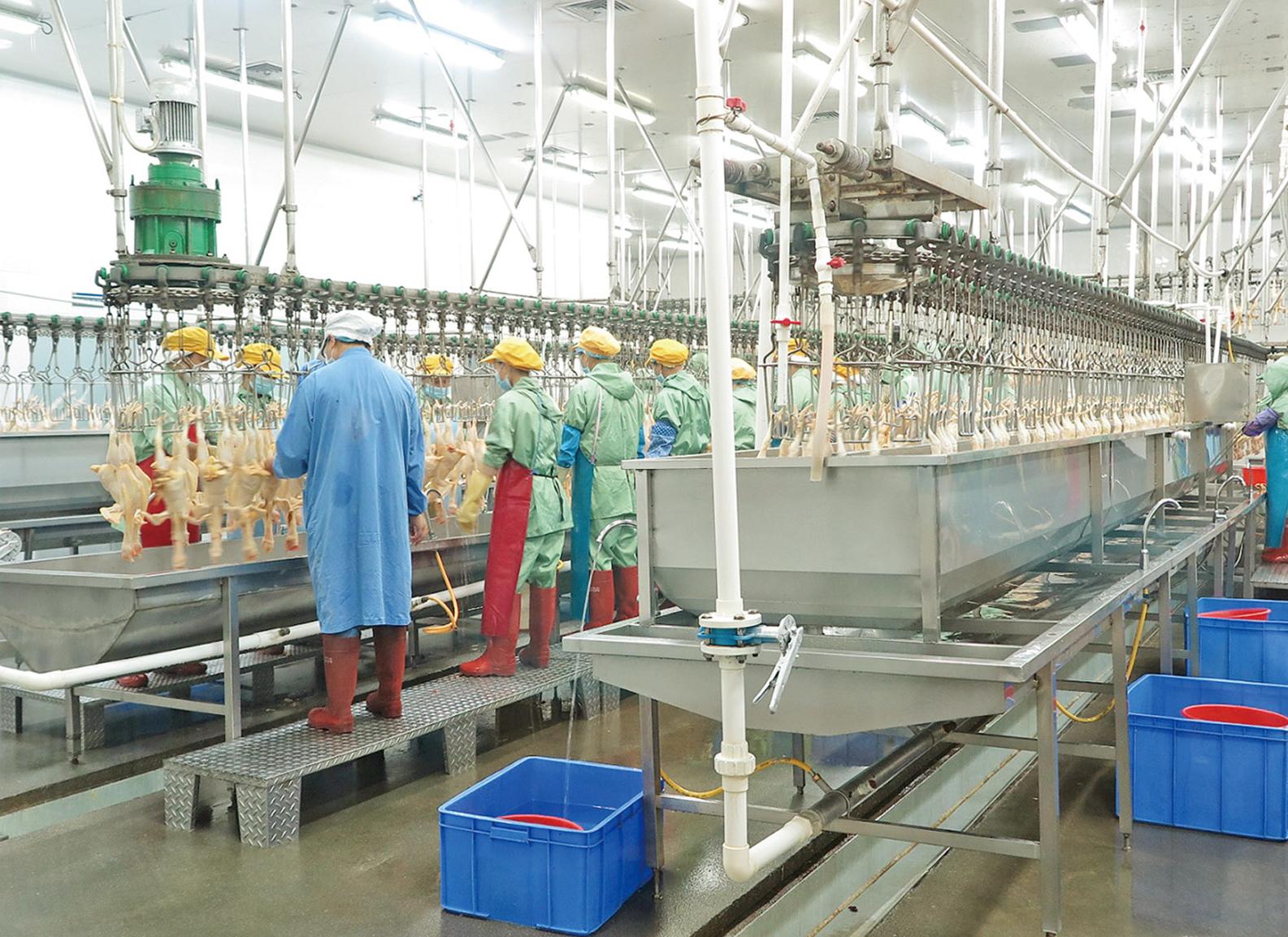 解構中央屠宰一條龍服務