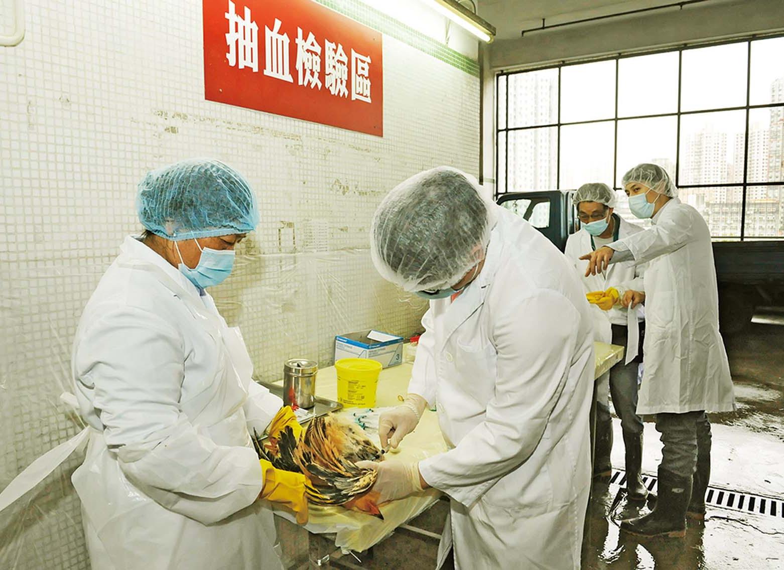 民署：市場消毒三日足夠