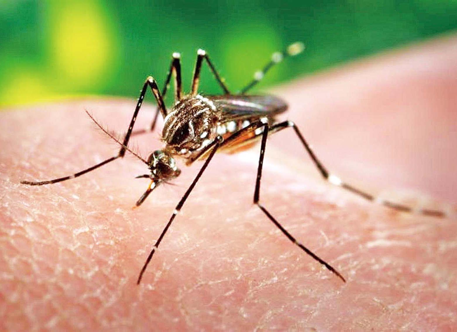 衛局明辦兩場醫務講解會