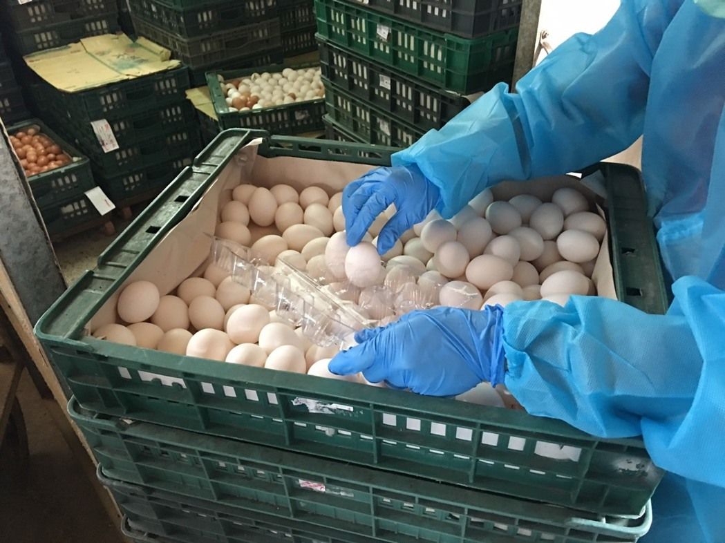 當局消毀兩萬多隻雞蛋