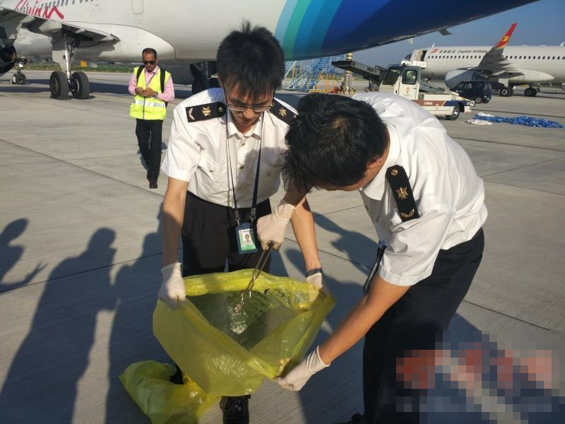 陝西咸陽機場國際航班發現活蛇