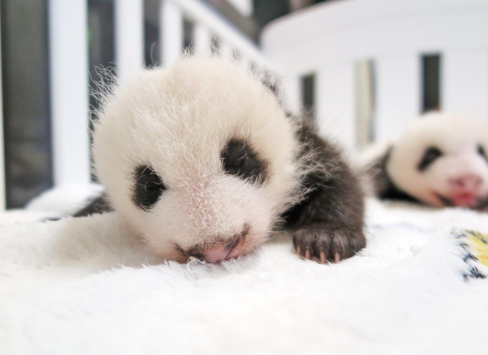 參與者月底前遞交可獲抽獎