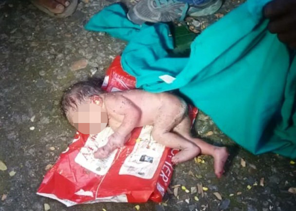 印度女嬰被棄垃圾桶「一身蟻」