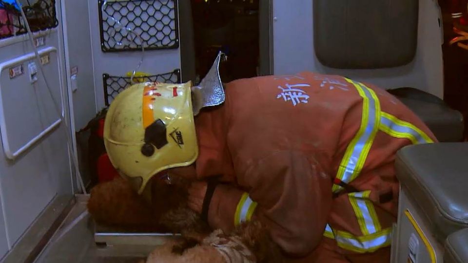 台救護員為狗狗人工呼吸