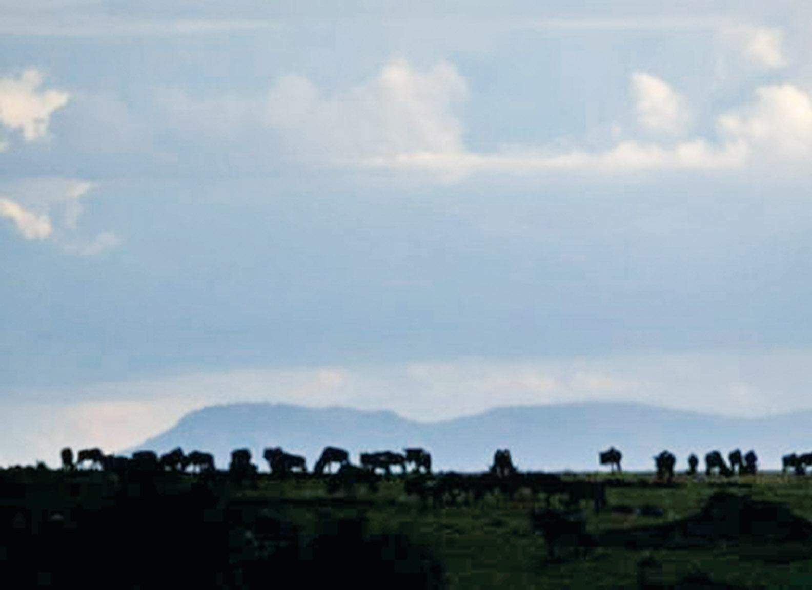 中國導遊刺死遊客