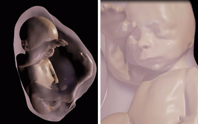 未來父母或可透過VR觀察胎兒