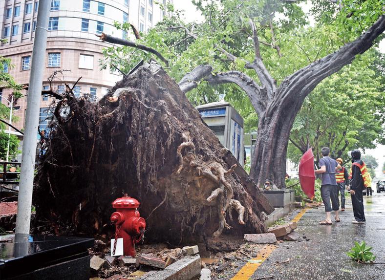 天文台解釋：是預警