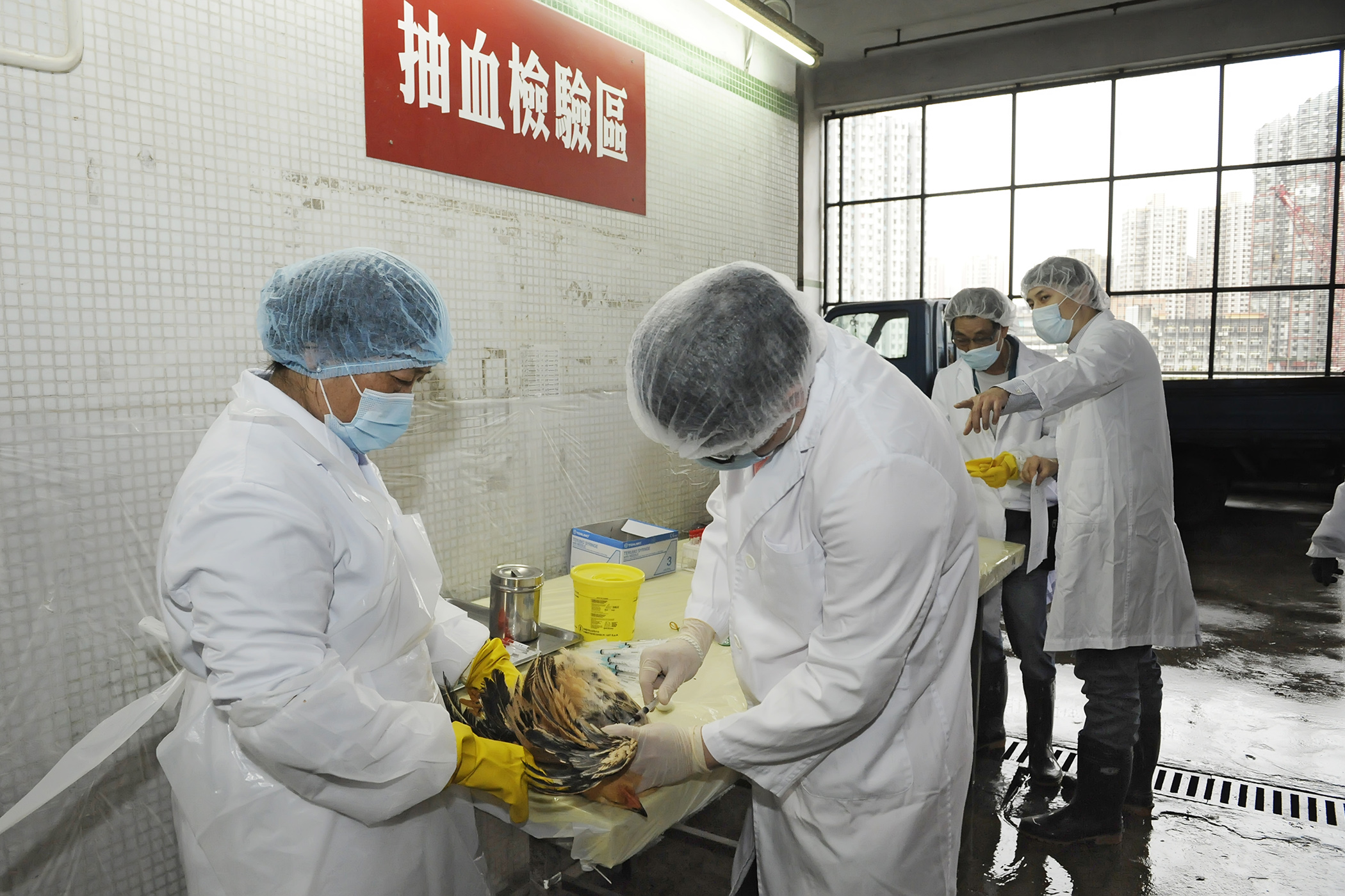遼寧確診首例H7N9禽流感