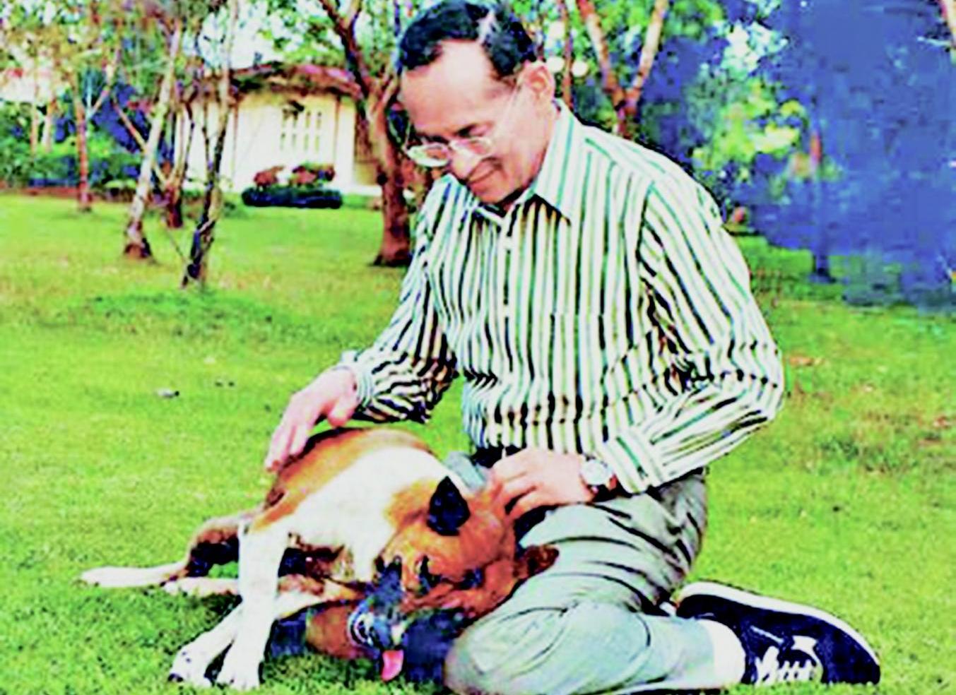 泰漢侮辱泰王寵物