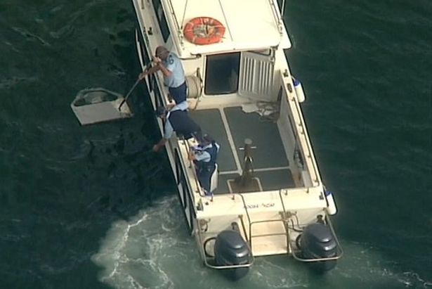 悉尼水上飛機墜毀六死